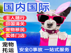 海北祁连空运公司国际宠物托运 【国